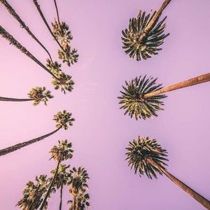 Meet your Posher, Lucy